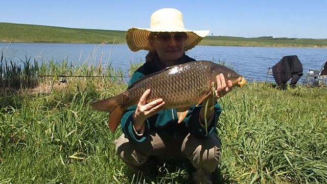 Платник "Тёщин Язык". 04/06/2017 смотреть онлайн