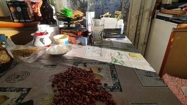 14.02.23. Буду пробовать вырастить арахис ??? Высадила в теплицу один томат ? смотреть онлайн