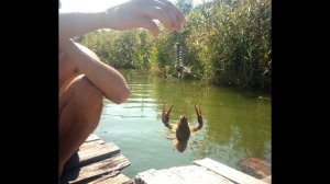 Рыбалка в Горловке   Горловское море