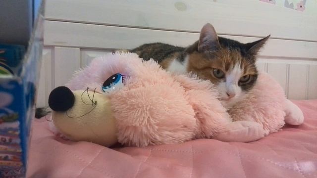 Клепсины игрушки смотреть онлайн