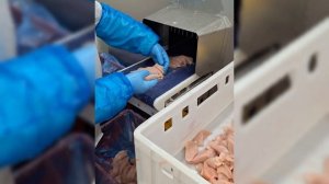 Работа на птицефабрике в Польше. Вся правда о заводе