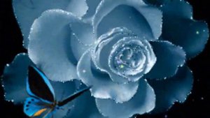 Дивным светом ночь дышала