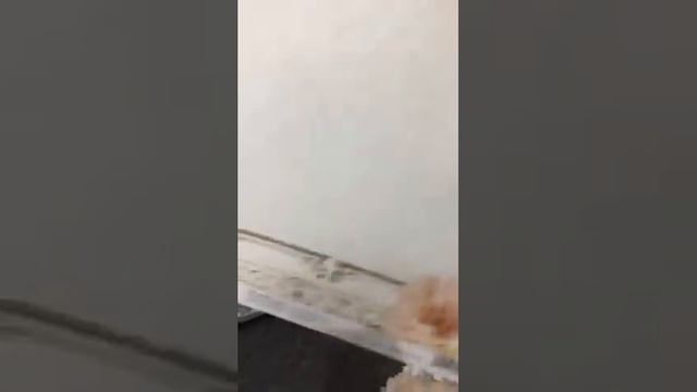 Produits en Magasin * Le 15 juin - June 15, 2020 * What's in Store смотреть онлайн