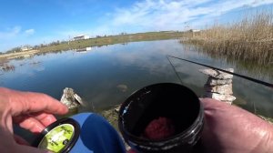 ✅Карась на тесто! Рыбалка в стиле ХЕРАБУНА!