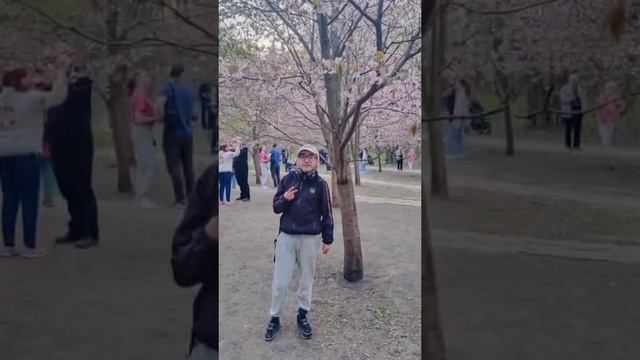 это я
