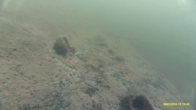 Окуни на Петровичском водохранилище подо льдом. смотреть онлайн