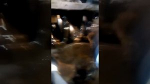 Ваз 2106 , Когда что то стучит в двигателе