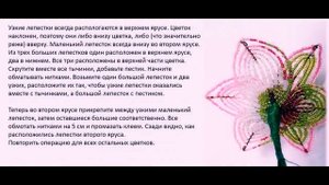 Бисероплетение Гладиолус из бисера мастер класс видео урок