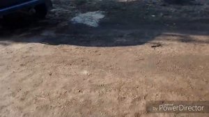 ПОТОЛОК НА ВЕРАНДЕ  ЗАШИТ