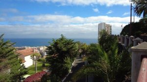 Taoro Park in Puerto de La Cruz, Tenerife. Park overview, cafe, fountain, walk - 4K