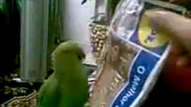 ожереловый бум смотреть онлайн