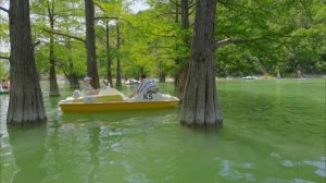 Сукко Кипарисовое Озеро