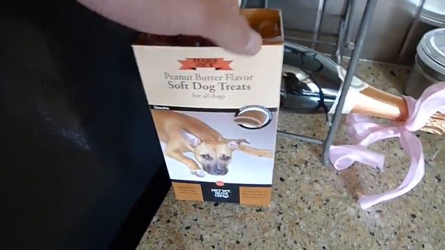 Мопс и французский бульдог/Pug and French Bulldog=) смотреть онлайн