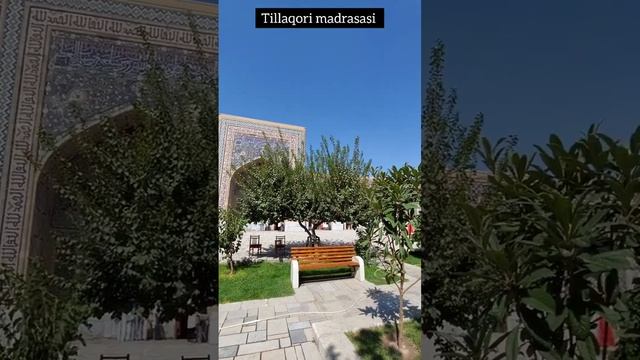 #shorts   Tillaqori madrasasi   Registon maydoni   Samarqand #tiktok #instareels