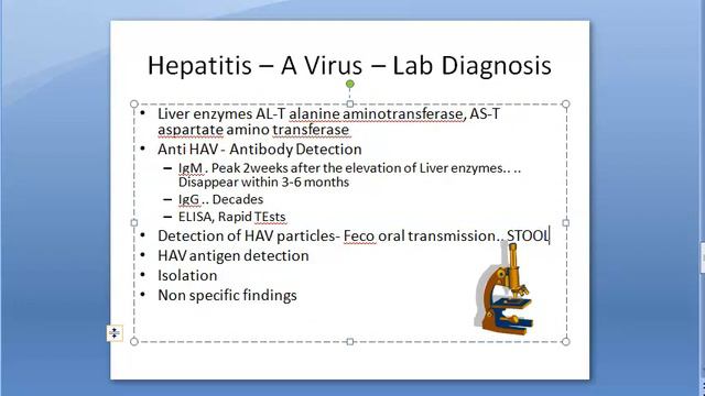 Microbiology 550 b Hepatitis A Virus Feco Oral Infectious Liver Lab Diagnosis HAV смотреть онлайн