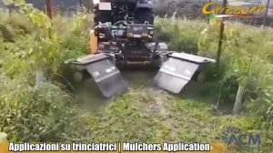 ORIZZONTI мульчер измельчитель с межкустовой обработкой для сада, винограда