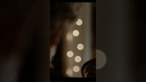 9 глава Порт-Анжелес Солнце полуночи Стефани Майер