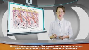 Ролик 1. Что важно знать пациенту после трансплантации о коже, её строении и функциях.