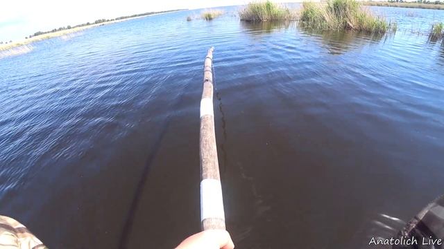 Рыбалка на ПАУК (подъёмник). Рыбалка летом в удовольствие! Ловись рыбка большая и маленькая!