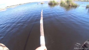 Рыбалка на ПАУК (подъёмник). Рыбалка летом в удовольствие! Ловись рыбка большая и маленькая!