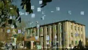 Любимый Биробиджан!