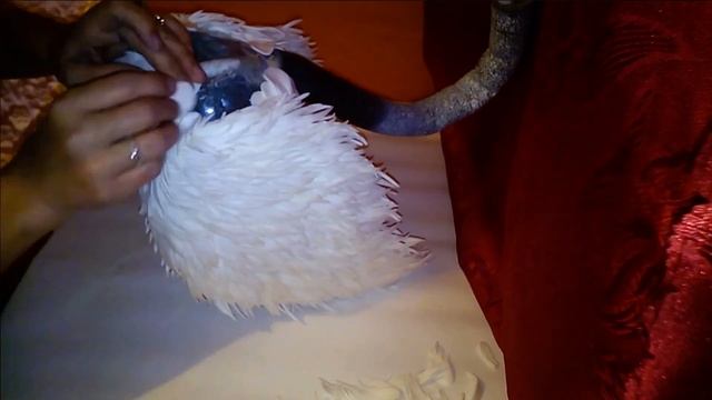 лебедь часть5 смотреть онлайн