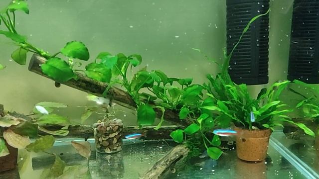 Готовимся к масштабному проекту смотреть онлайн