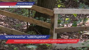 Нижегородские биологи сохраняют краснокнижные растения в парке «Швейцария»