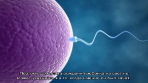 Как рассчитать дату зачатия?