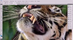 Photoshop урок для начинающих, отбеливание зубов.avi