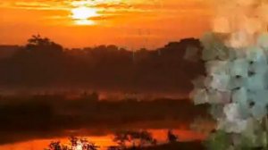 Стинг клип.wmv..............Стинг-клип