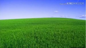 ЯСИН СУРА 36 ОТ СГЛАЗА И ПОРЧИ  КРАСИВОЕ ЧТЕНИЕ КОРАНА ЧИТАЕТ 10 РАЗ 0001