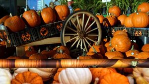 Почему тыква полезна для мужчин И 19 других фактов о тыкве