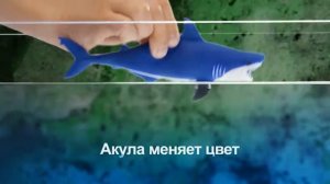 Акулы Макси&Ко (ДеАгостини) 2016 - промо ролик