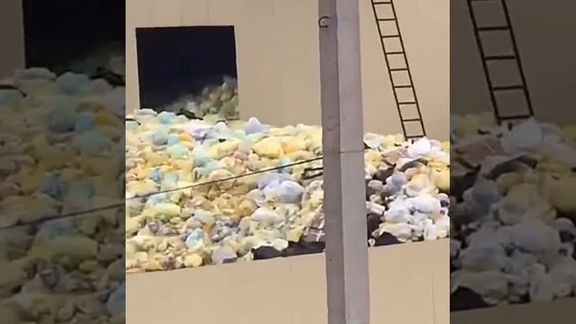 Местные жители задыхаются от дыма «крематория» под Краснодаром 29.01.2019 смотреть онлайн