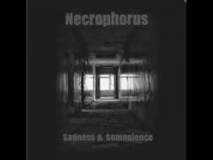 Ritual Dark Ambient ☩ Neoclassical ☩ Necrophorus ☩ Sadness & Somnolence (1991)