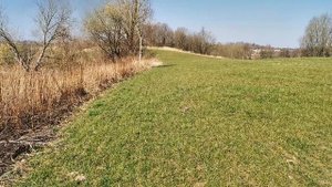 Перспективные места для копа