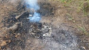 Сдаю цветмет - Цена на Медь растёт! Обжигаю медный кабель?