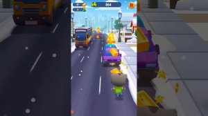 кот том за золотом