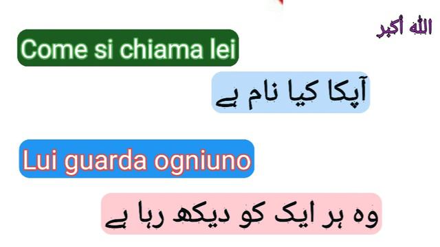 Daily short sentences || روزانہ استعمال ہونیوالے جملے || For beginners.