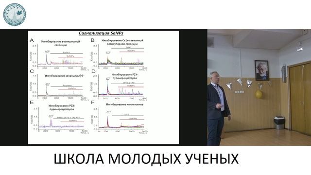 Молекулярные механизмы протекторного действия наночастиц при ишемии - Туровский Егор Александрович