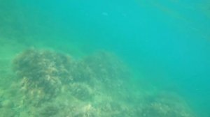 Ваня, море и мопед.