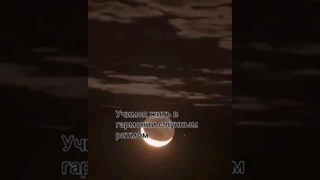 ВОЗДЕЙСТВИЕ ЛУНЫ НА БИОРИТМЫ ЧЕЛОВЕКА.