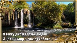 С годами становлюсь мудрей. Красивые стихи о жизни. Музыка для души