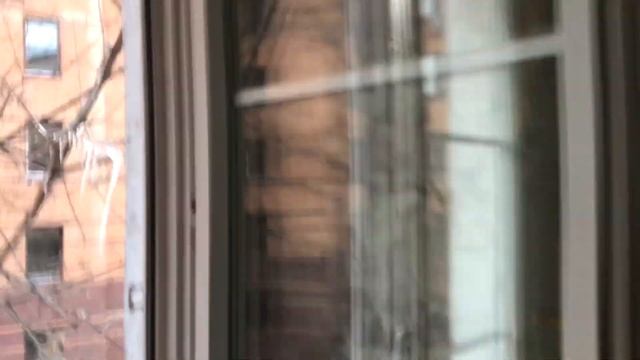Деревянные окна из лиственницы с раскладкой и алюминиевым окладом