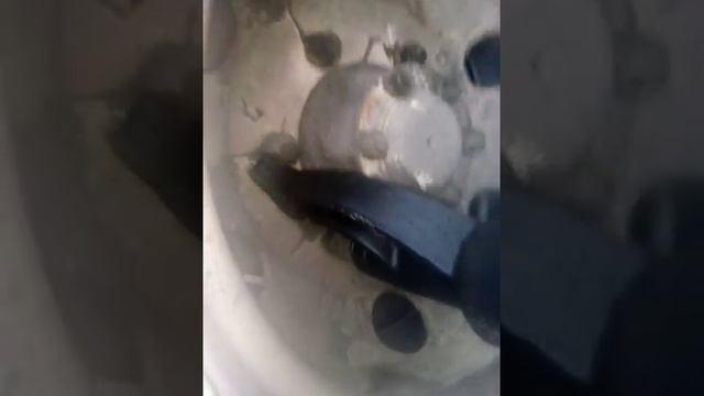 Ключ редукторный смотреть онлайн