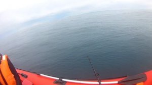 Рыбалка Владивосток, Уссурийский залив буй Поворотный 01.06.19 камбала, минтай...