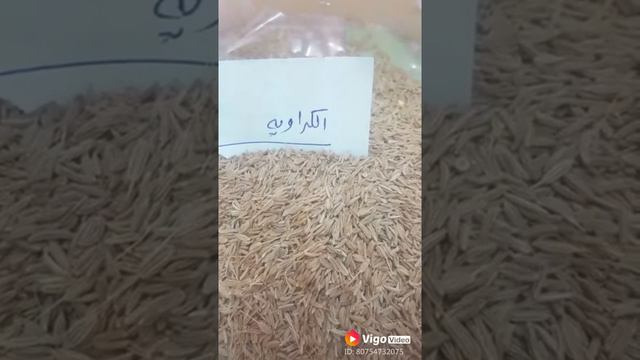 فوائد الكراويه