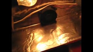 двухкамерный инкубатор для яиц своими руками. double chamber incubator for eggs with their hands