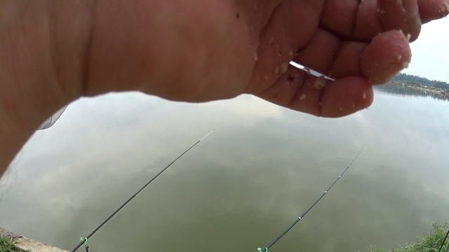 Удачная рыбалка в рыбхозе "Раково". Карпы и караси бомбили не по детски! Дождливый "клёвый" денёк.. смотреть онлайн